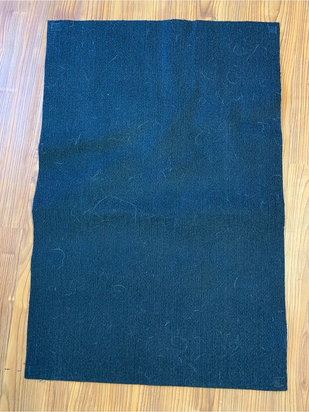 Frida Floral Natural Flatwoven Rug with Pad 3x2'